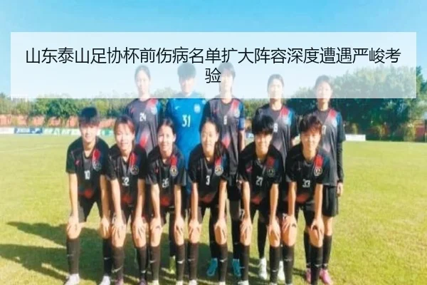 山东泰山足协杯前伤病名单扩大阵容深度遭遇严峻考验