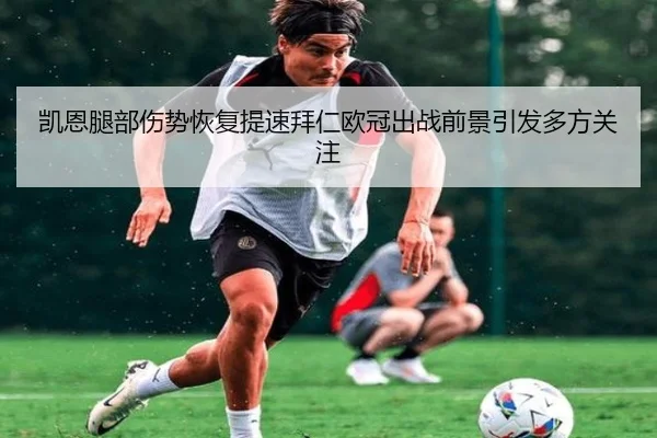 凯恩腿部伤势恢复提速拜仁欧冠出战前景引发多方关注